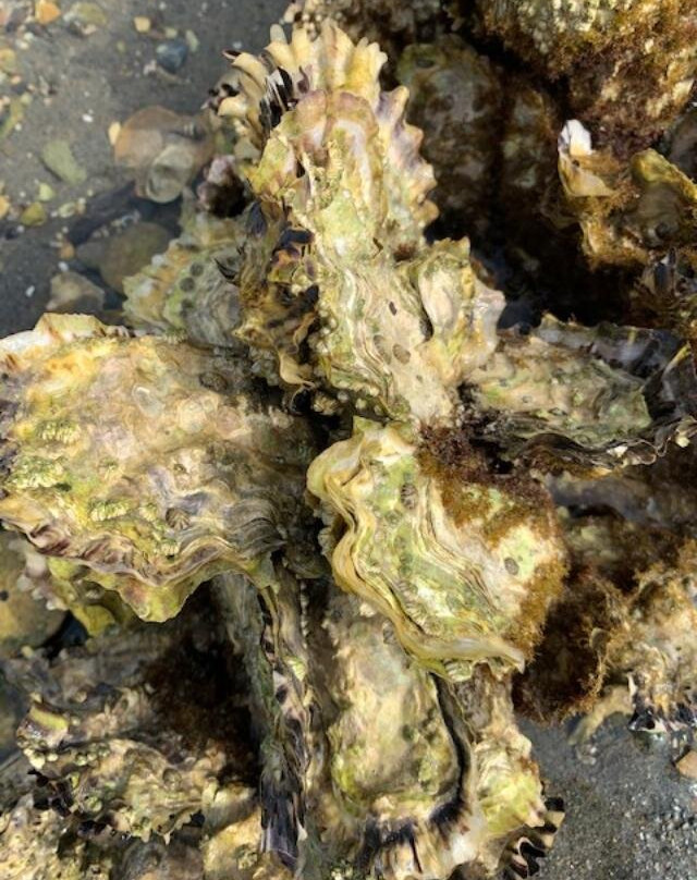 温哥华机场拉昆塔温德姆酒店主图