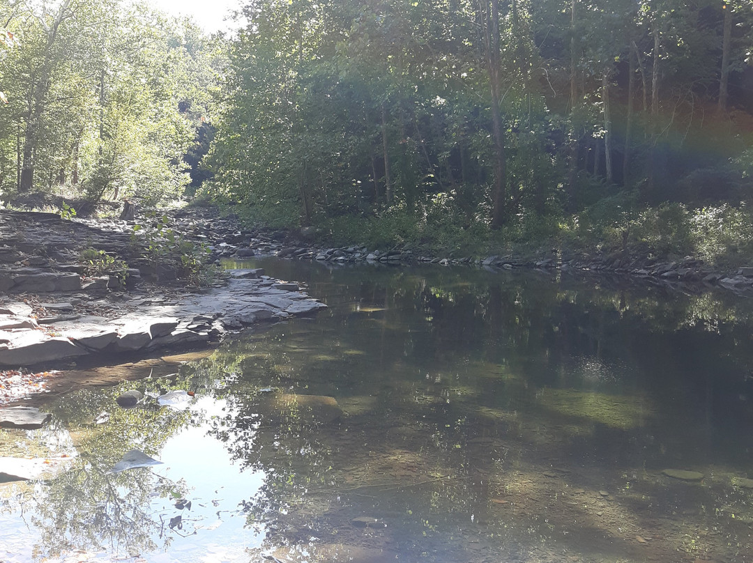 Mulholland Wildflower Preserve-伊萨卡必去景点