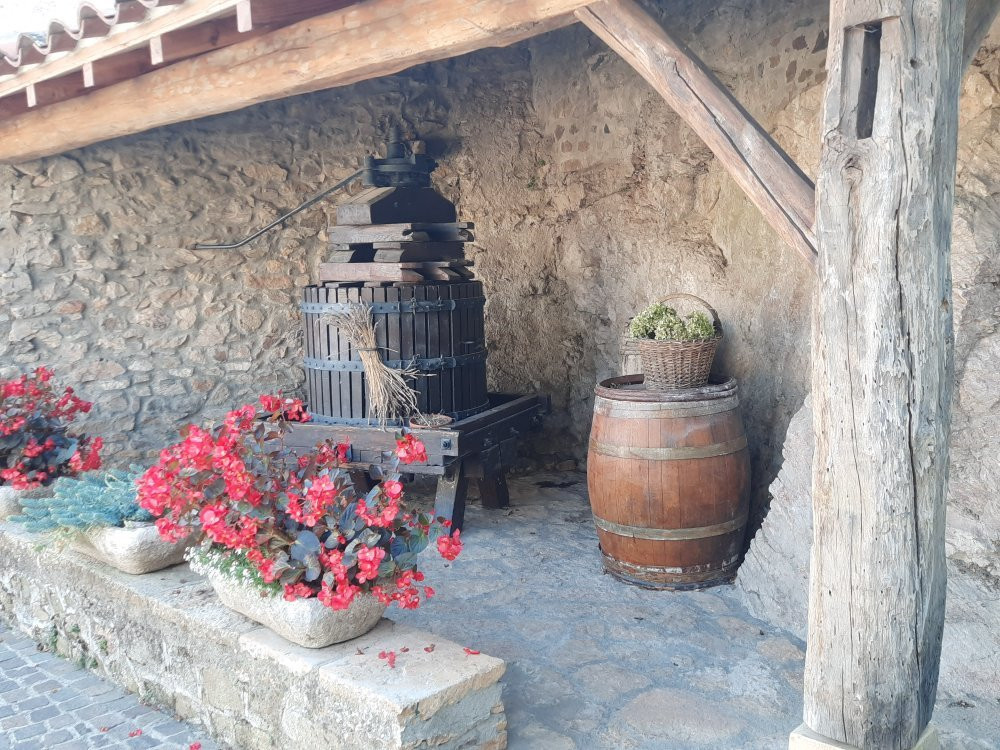Village de Ternand景点图片