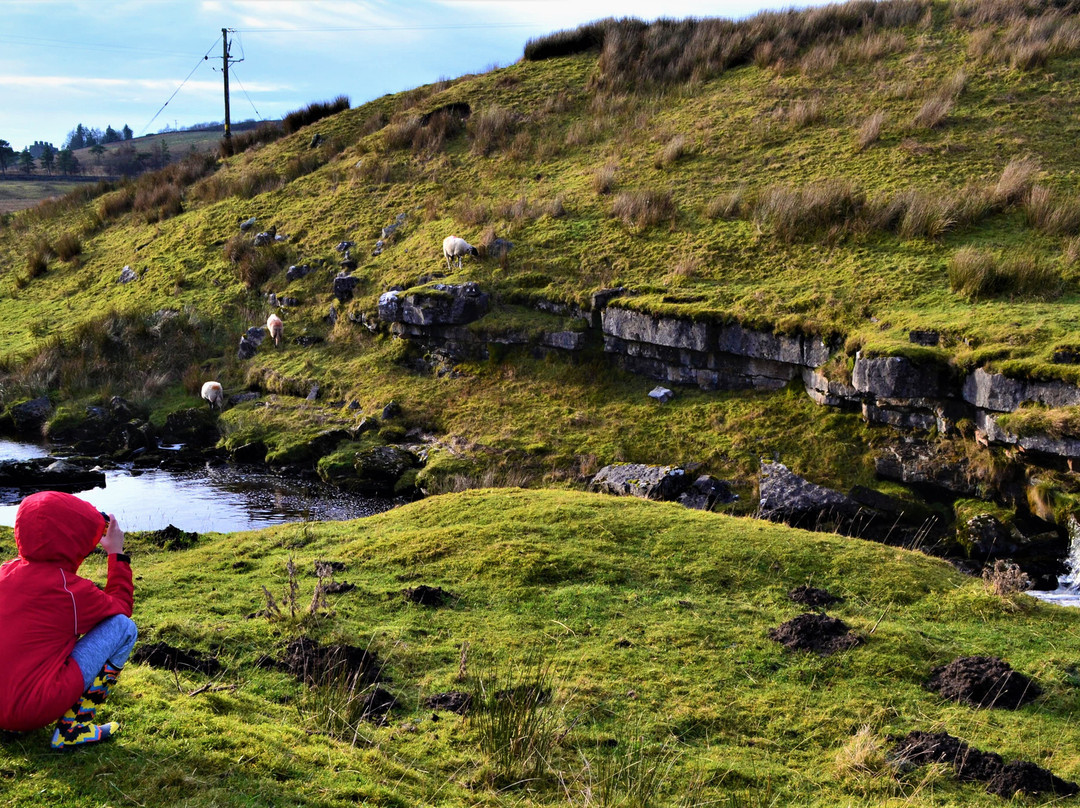 Goats & Oats at Garsdale House主图