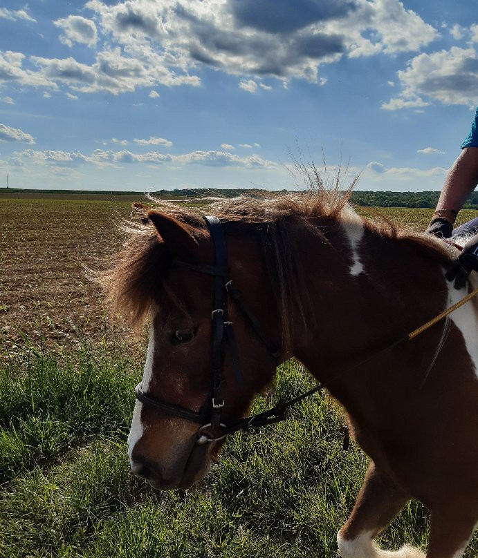 Ecuries Du Railly-Rouvrois-sur-Othain必去景点