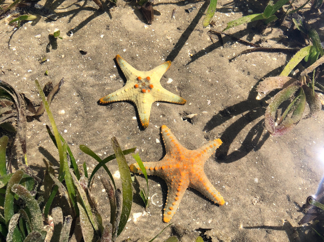 Maputo Blue-马布多必去景点