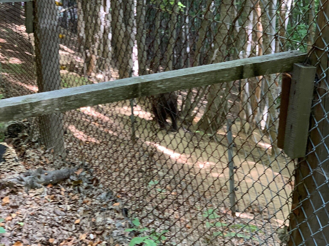 Wolf & Lynx Conservation Area-Agrapidies必去景点