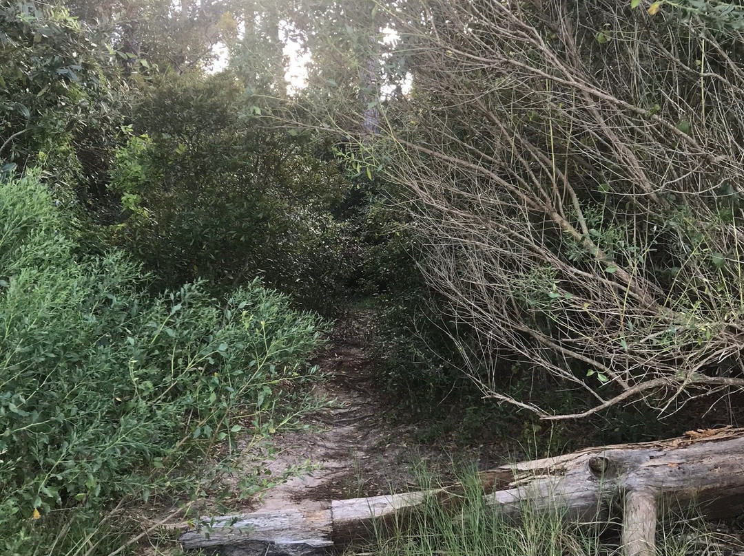 Harris Neck National Wildlife Refuge-萨凡纳必去景点