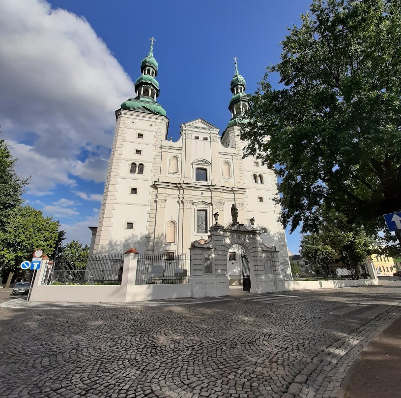 Bazylika katedralna Wniebowzięcia Najświętszej Maryi Panny i św. Mikołaja w Łowiczu景点图片