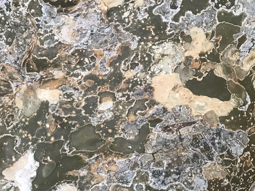 Wayaka Trail-Kralendijk必去景点