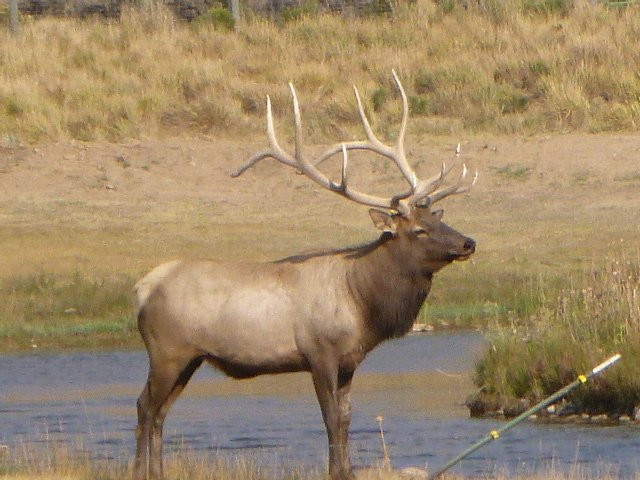 Bear River State Park-埃文斯顿必去景点