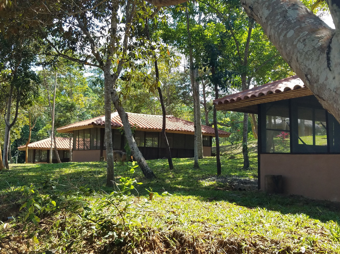 Tambo Ilusión Hospedaje  Alternativo
