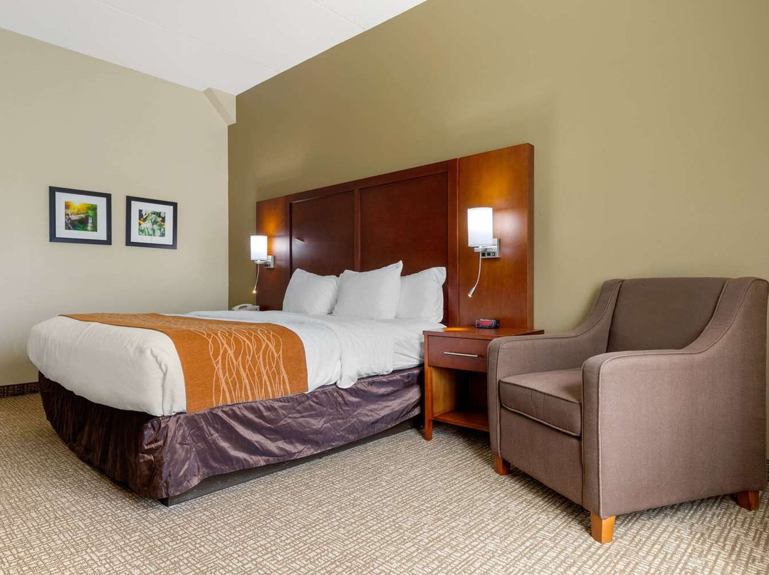 Comfort Inn & Suites Cordele主图