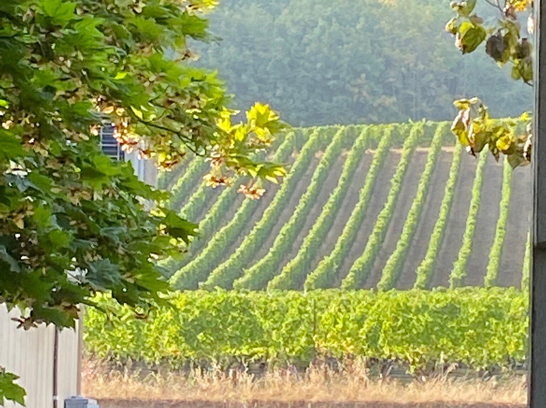 Cristom Vineyards景点图片