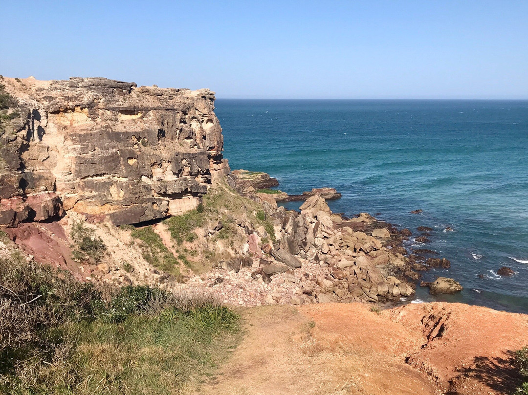 Kattang Nature Reserve-Camden Head必去景点