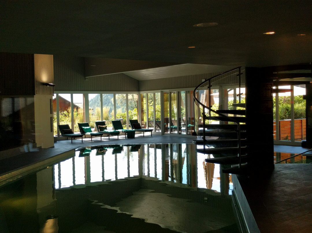 HUUS Gstaad Hotel主图