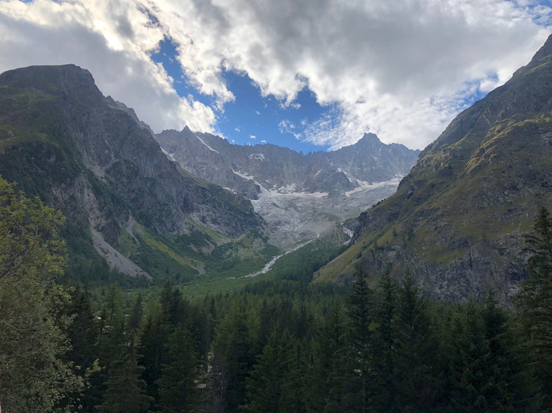 Hotel Edelweiss主图