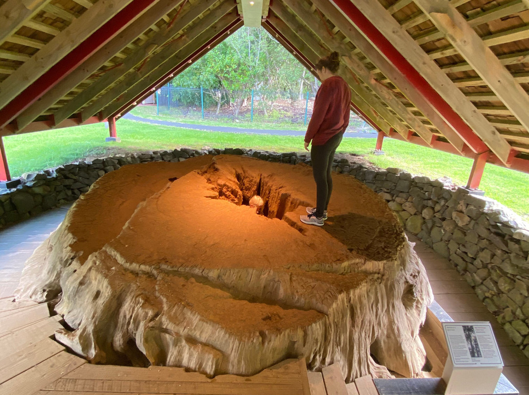 Waitangi National Trust & Treaty House景点图片