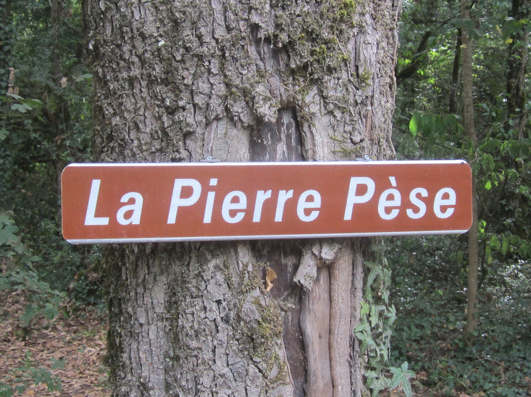 Dolmen De La Pierre Pèse景点图片