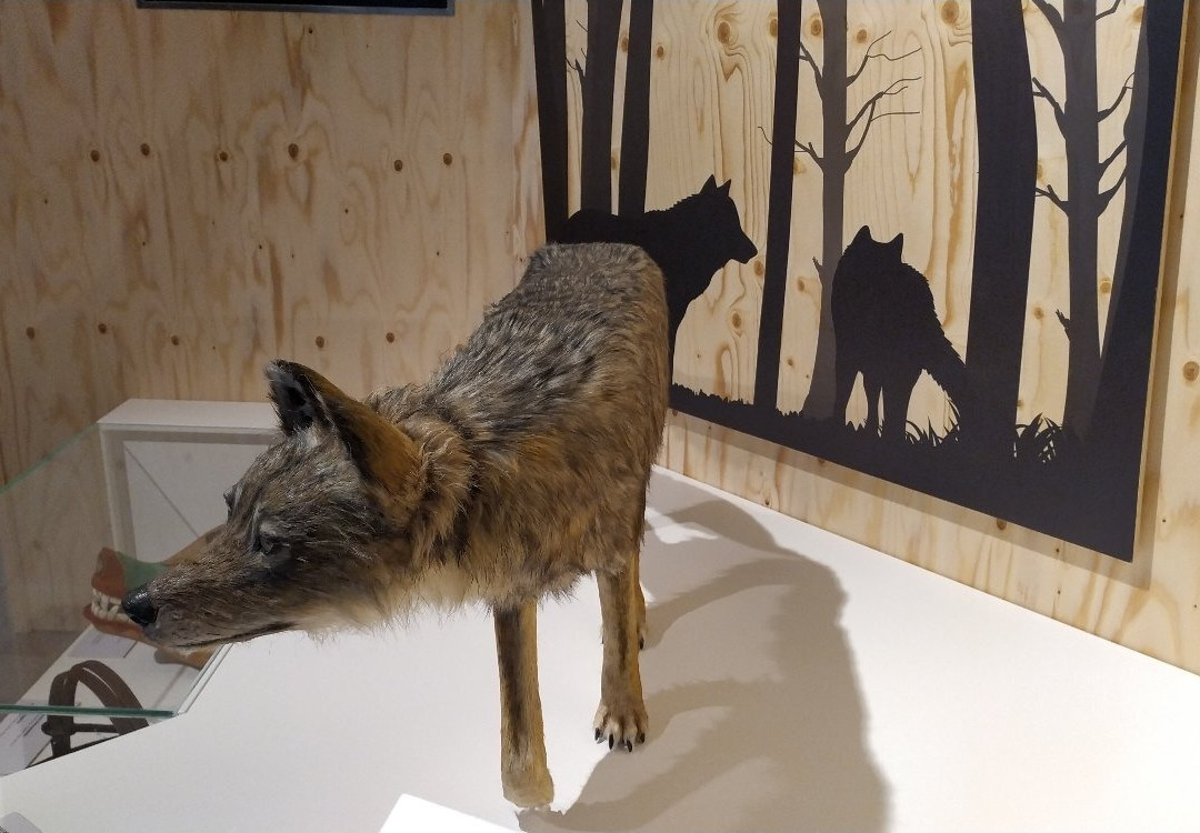 Museum of Nature South Tyrol景点图片