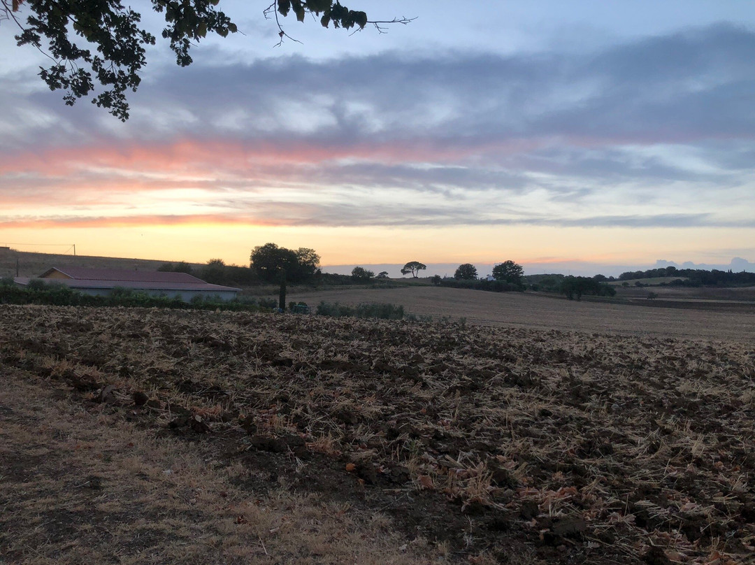 Agriturismo Poggio Sassineri主图