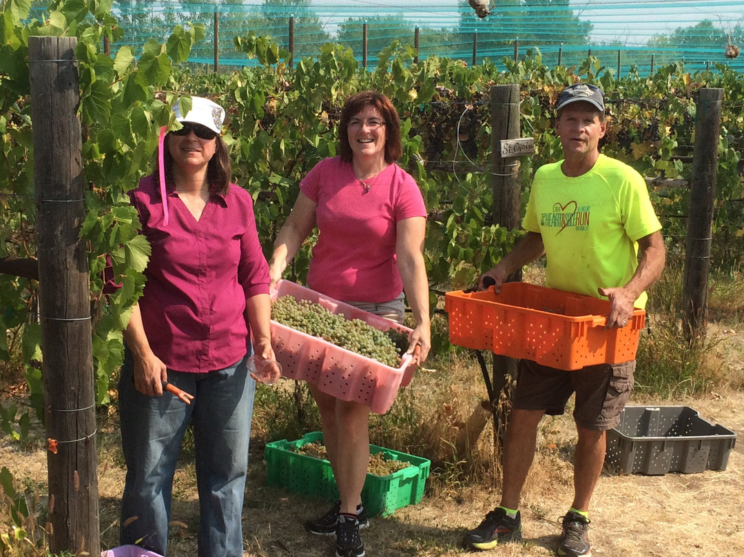 Tongue River Winery-迈尔斯城必去景点