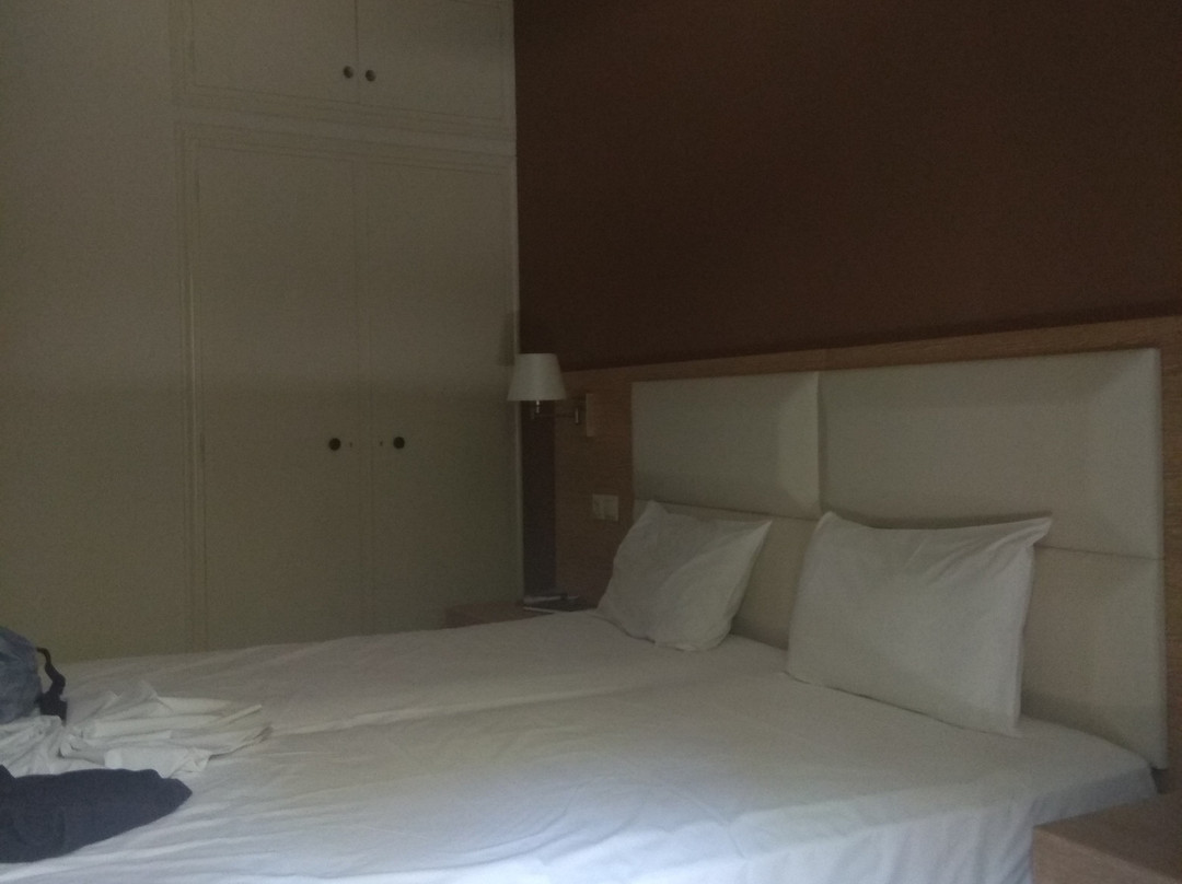 The Delfini Hotel主图