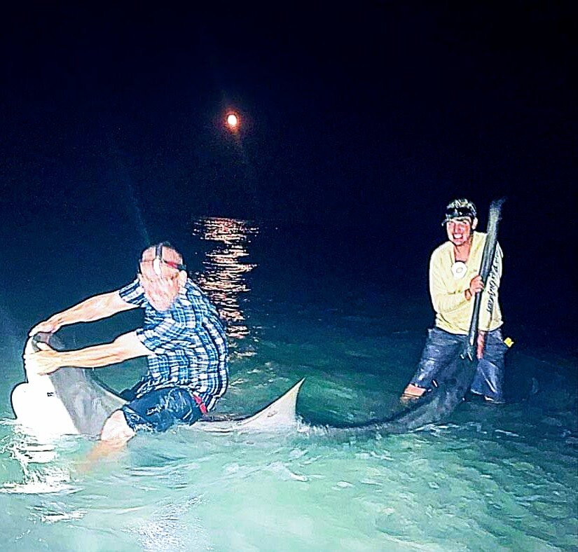 Off The Beach Shark Fishing Day Trips景点图片
