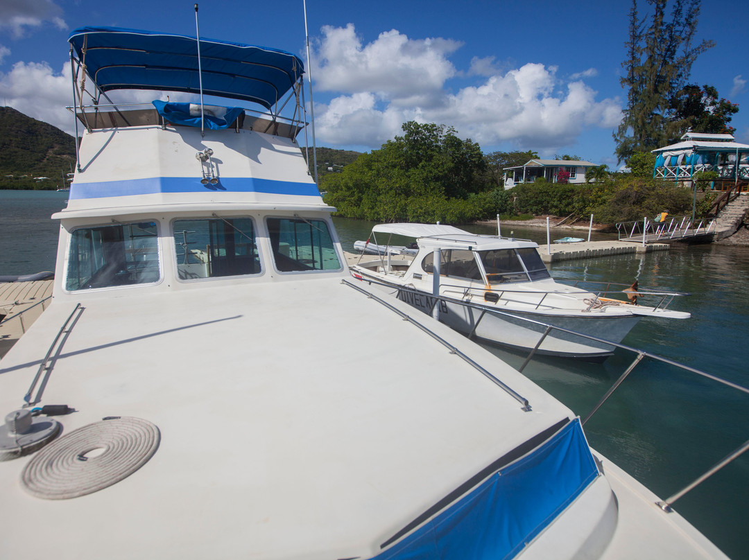 DiveCarib-英吉利海港必去景点