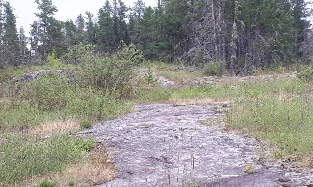 Alfred Hole Goose Sanctuary and Visitor Centre-Rennie必去景点