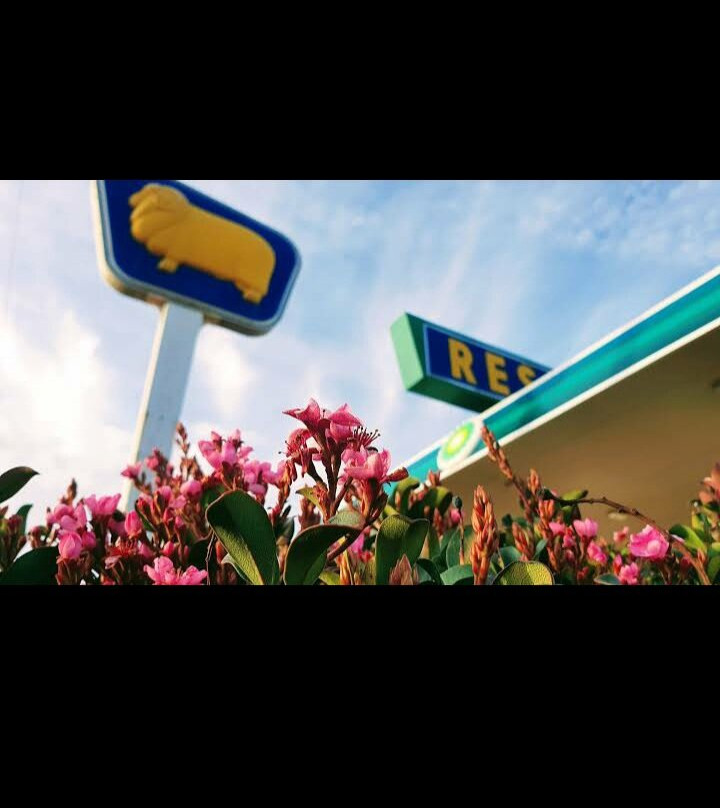 Kondinin Roadhouse Motel主图