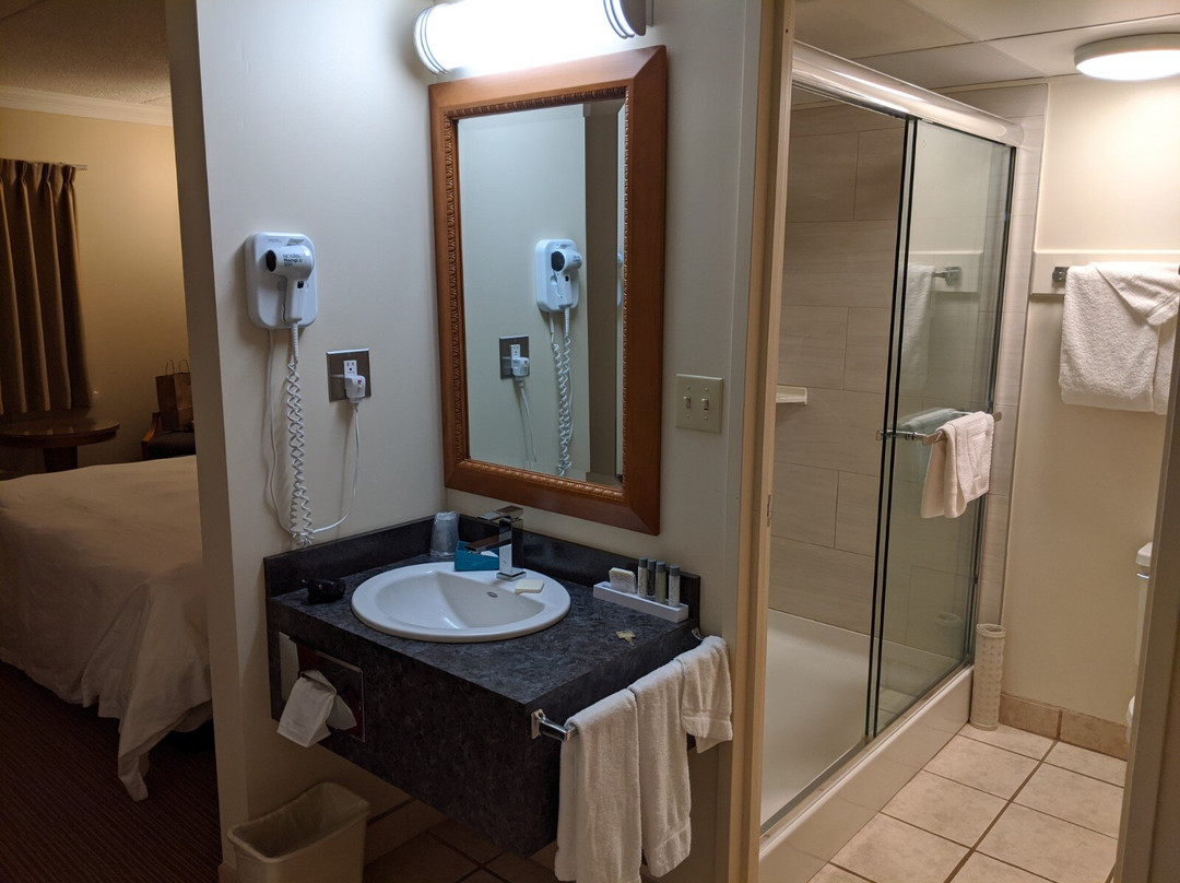 Twin Pine Motor Inn主图