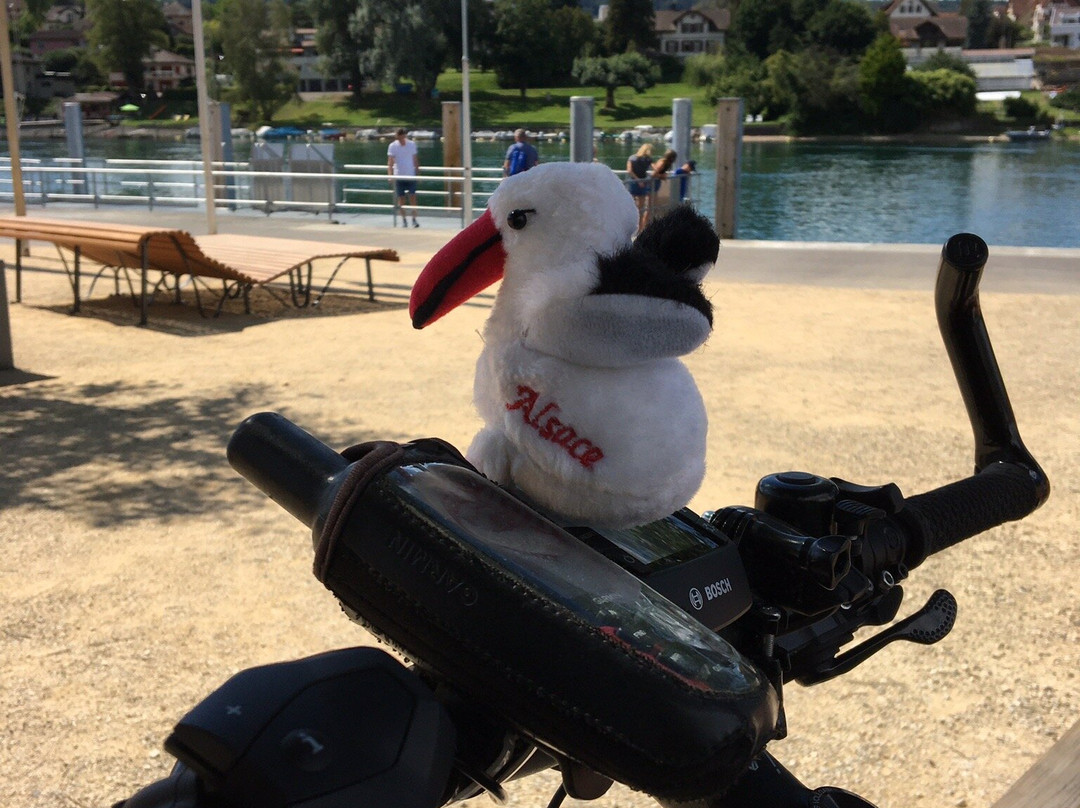 Hotel Zur Schmiede主图