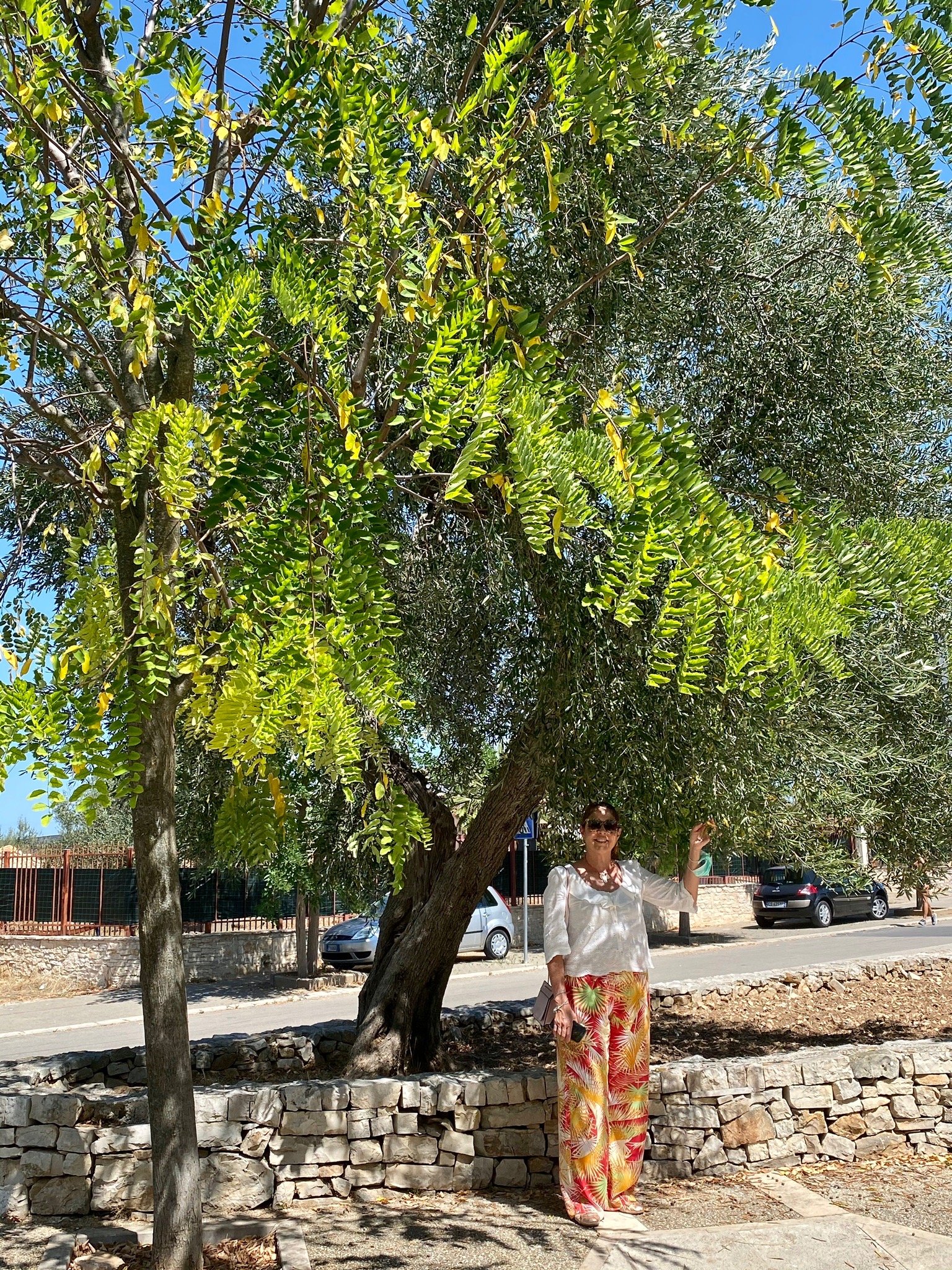 Suberito Rooms & Bar-官方