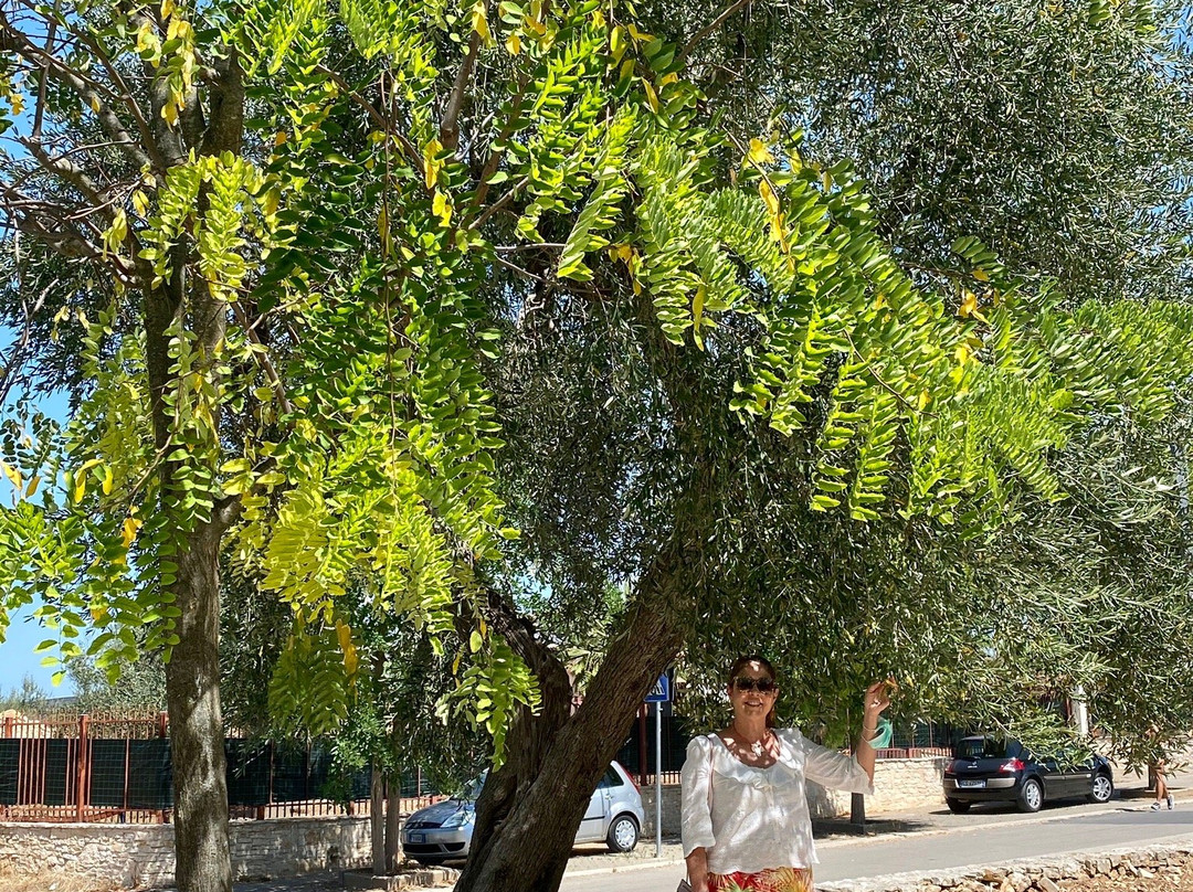 Suberito Rooms & Bar主图