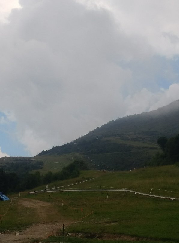 Bob Estivo景点图片