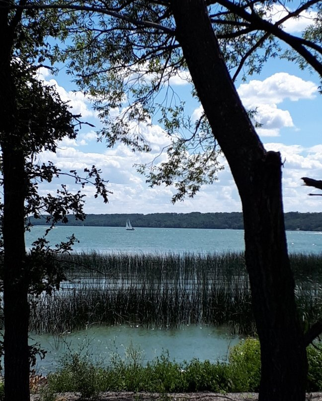 Tommy Turtle Statue-波伊斯维因必去景点