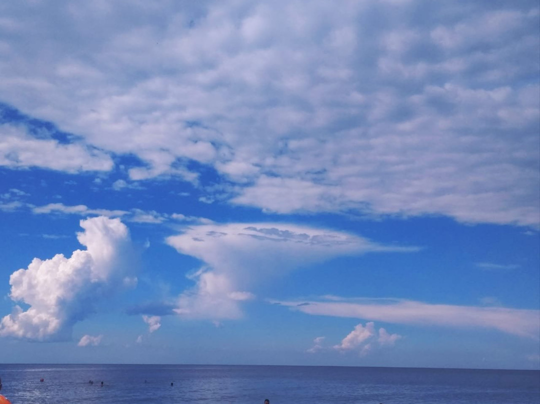 Central Beach景点图片