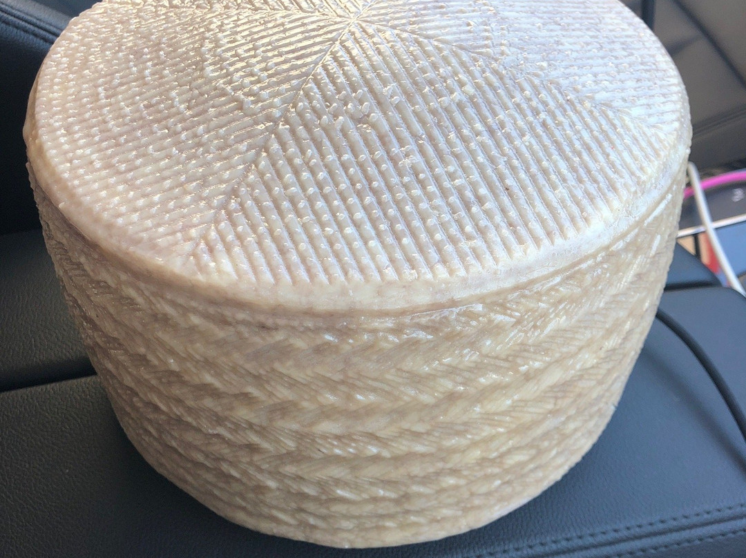 On Cheese-Zaporozhskaya必去景点