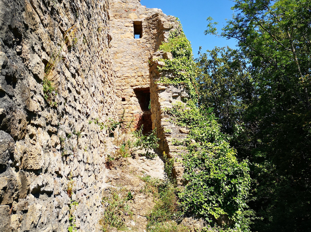 Burgruine Schenkenberg-Thalheim必去景点