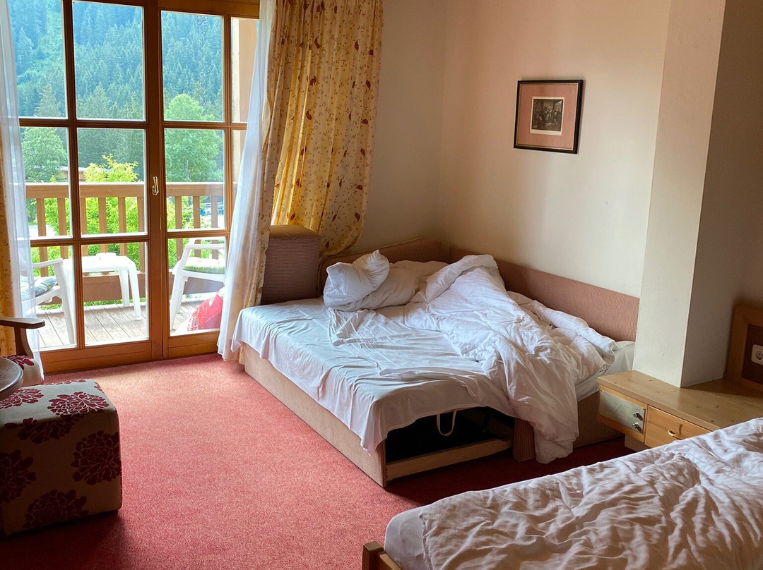 Hotel Krimmlerfalle主图