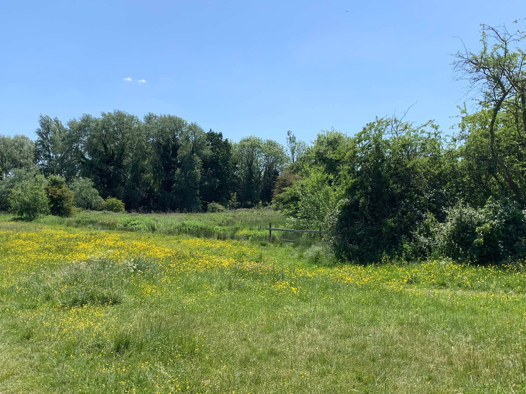 Purwell Meadows Nature Reserve.景点图片