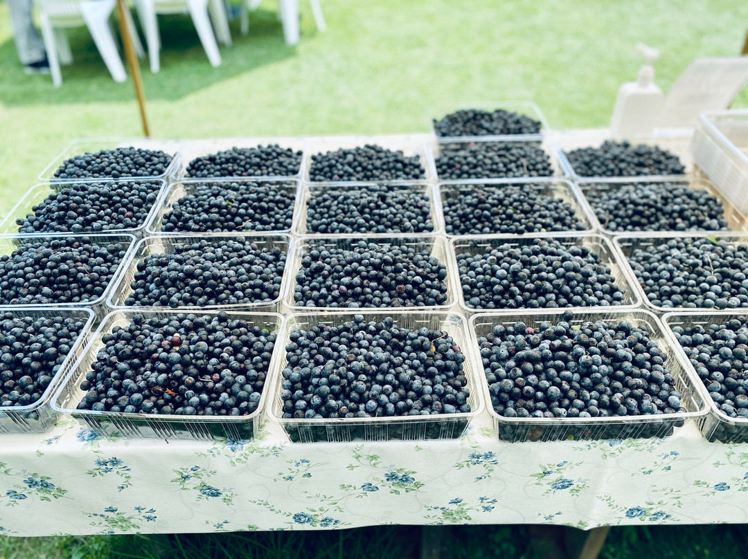 美里町旅游攻略图片