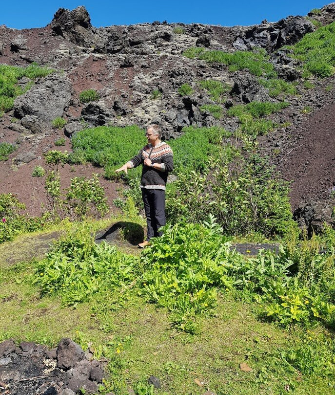 Viking Tours-韦斯特曼纳群岛必去景点