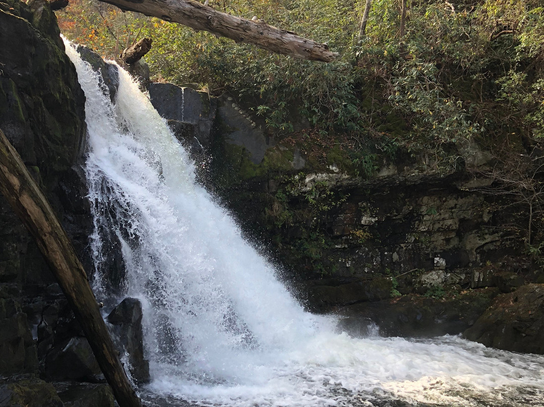 Abrams Falls Trail-大雾山国家公园必去景点