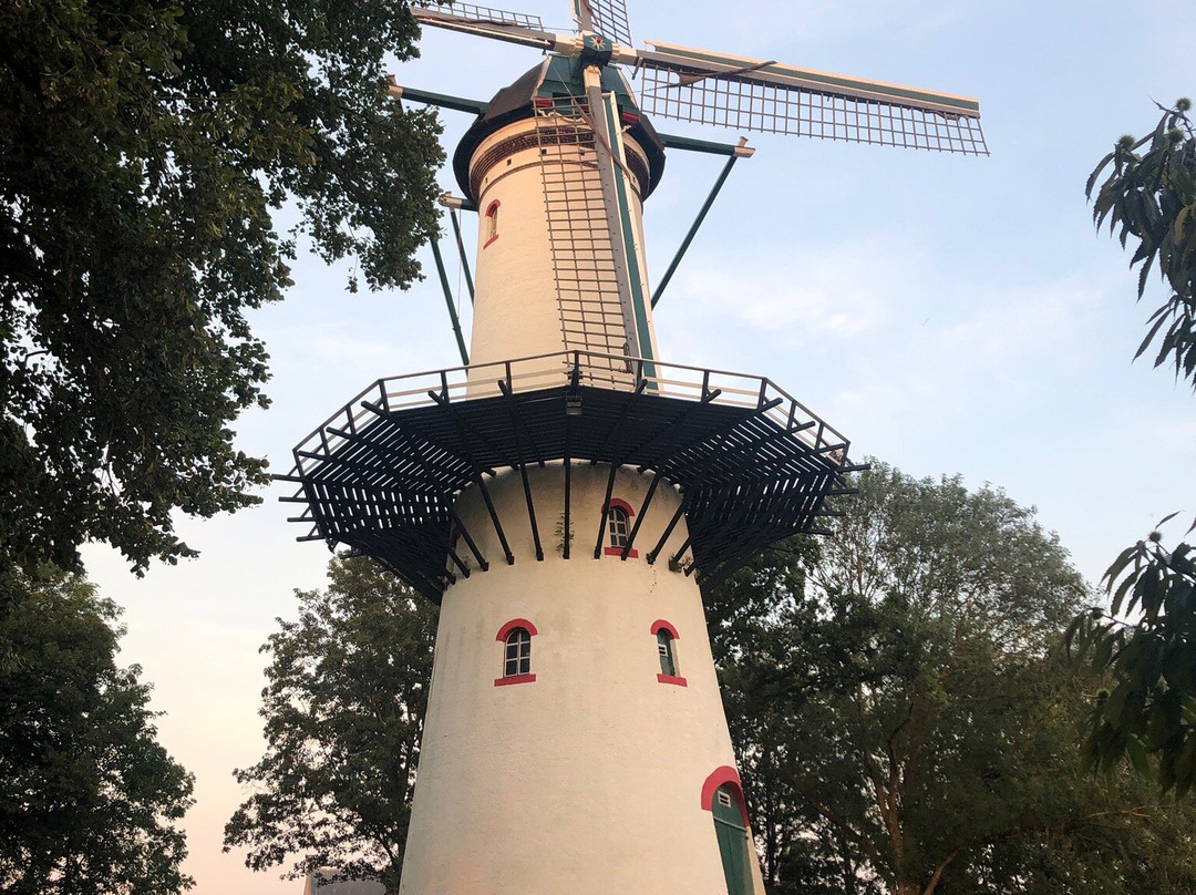 Molen De Hoop-Tholen必去景点