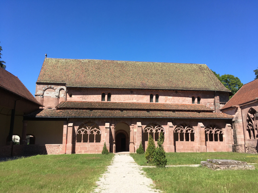 Saint-Die Cathedral-孚日圣迪耶必去景点