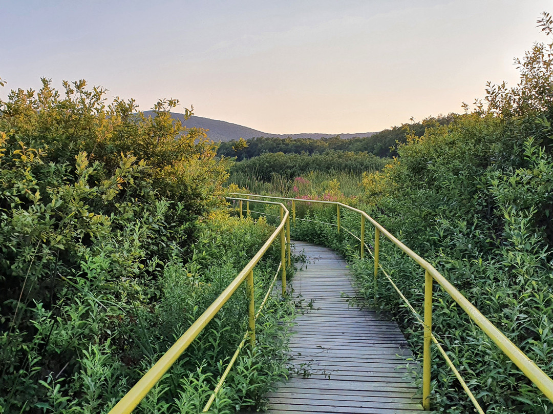 The Arkutino Reserve-普里莫斯科必去景点