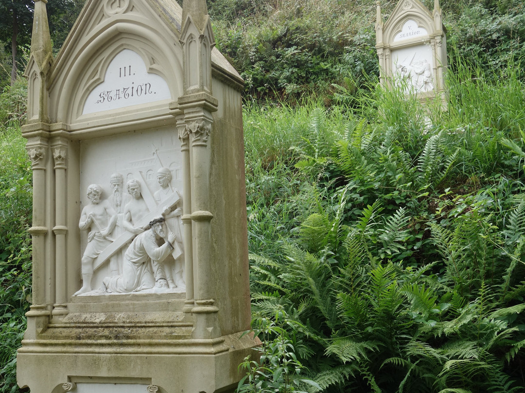 Burg-Olymp-Tour - Ferienland-Wanderweg Bernkastel-Kues景点图片