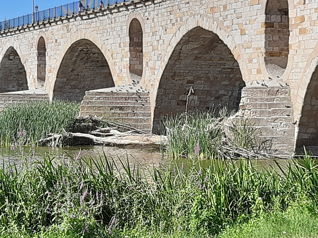 Puente de Piedra景点图片