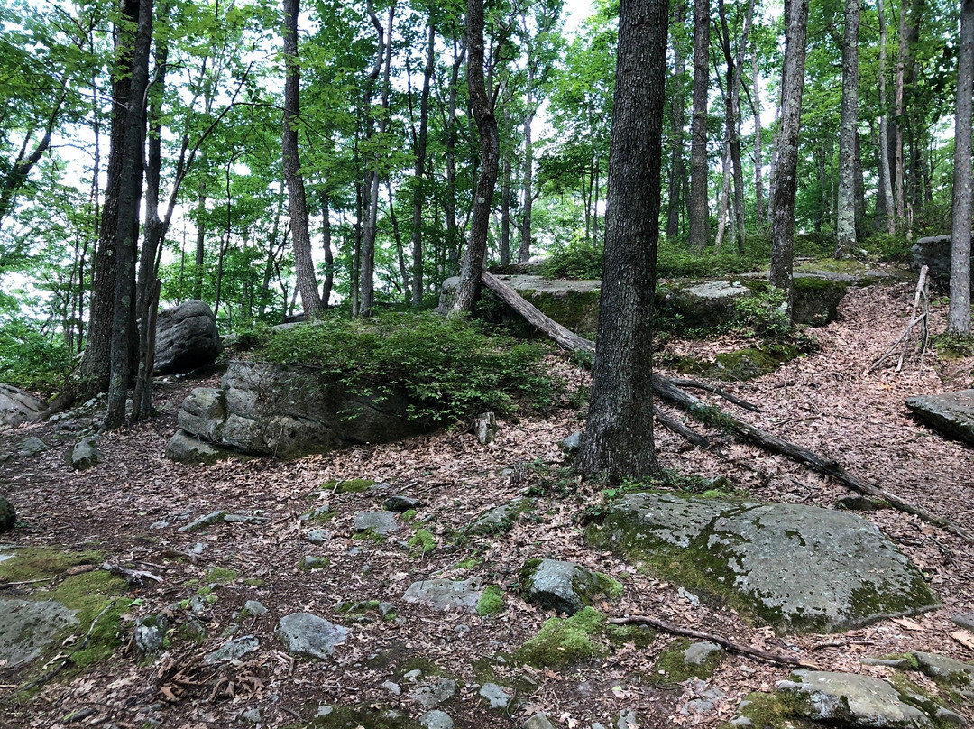 Rimrock Overlook-Warren必去景点