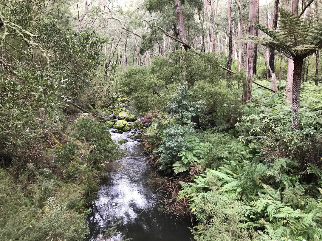 St Georges River Walk-洛恩必去景点