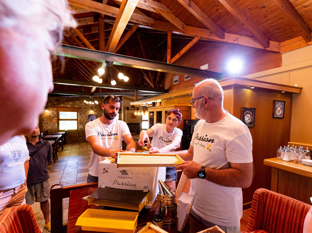 Bee Day with Passion Honey-Taxiarchis必去景点