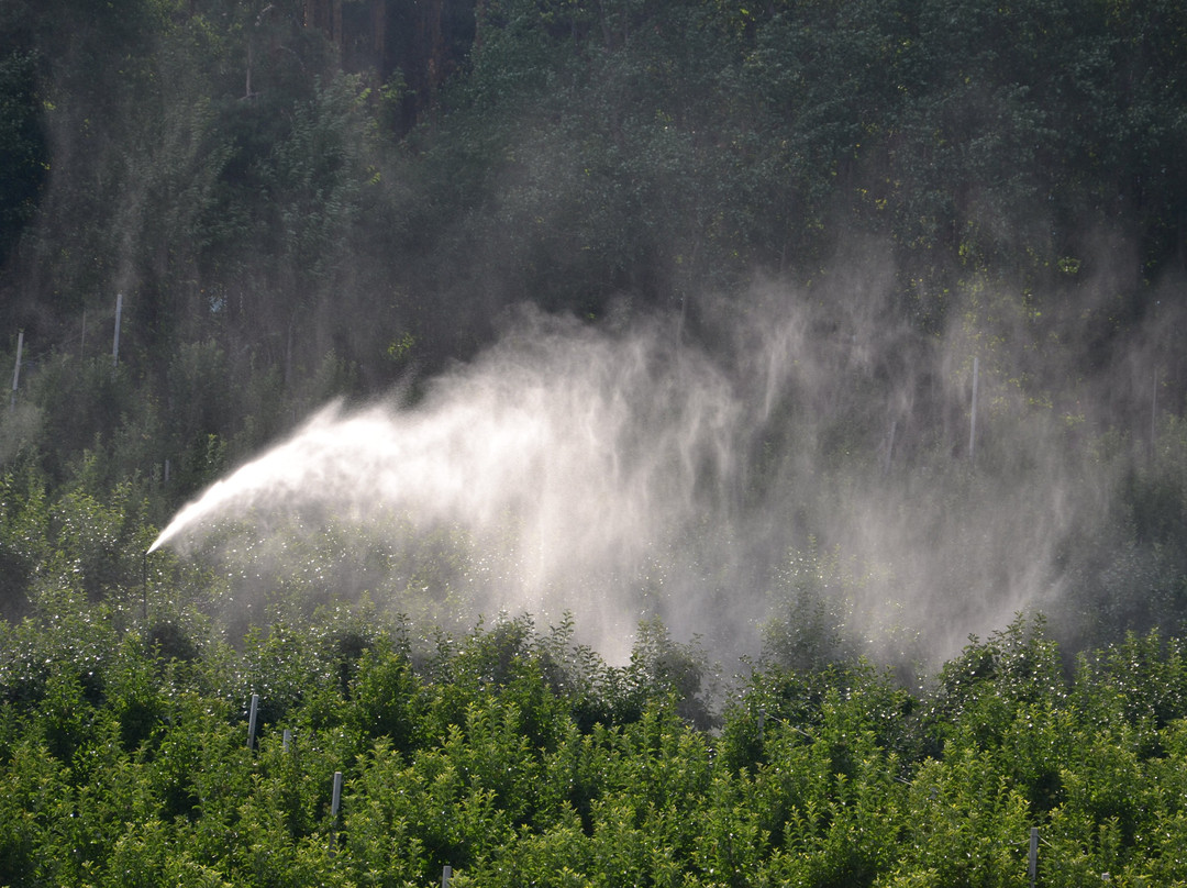 Hotel Flotscherhof主图